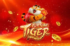 Live dealer studio setup for Tarung Mesin competitive gaming